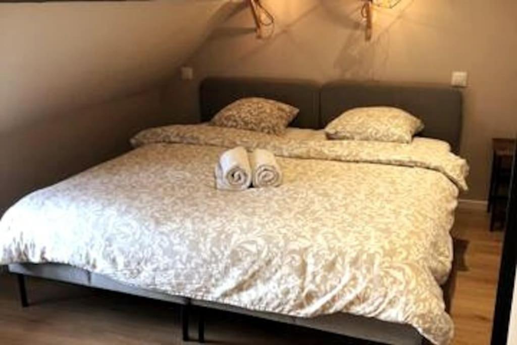 B'M Gretel - Duplex 4 Pers - Vue Cathedrale - Centre Historique קולמר מראה חיצוני תמונה